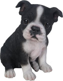 Pacific Giftware 6.5" Boston Terrier Puppy Figurine #12457