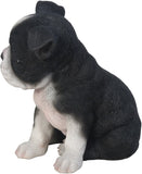 Pacific Giftware 6.5" Boston Terrier Puppy Figurine #12457