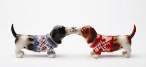 Pacific Giftware Nothing but a Hound Dog Salt and Pepper Shaker Set #8163