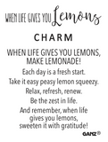 Ganz When Life gives You Lemons Charms with Card #ER62157